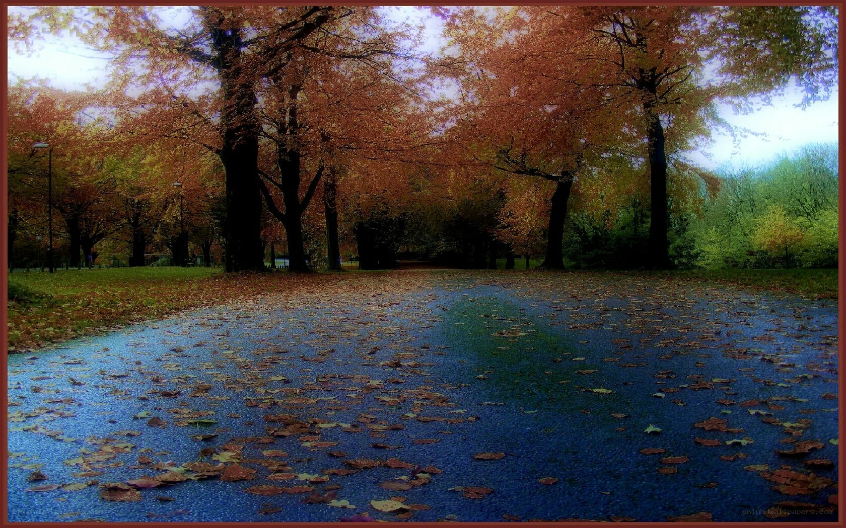 Autumn path in the park