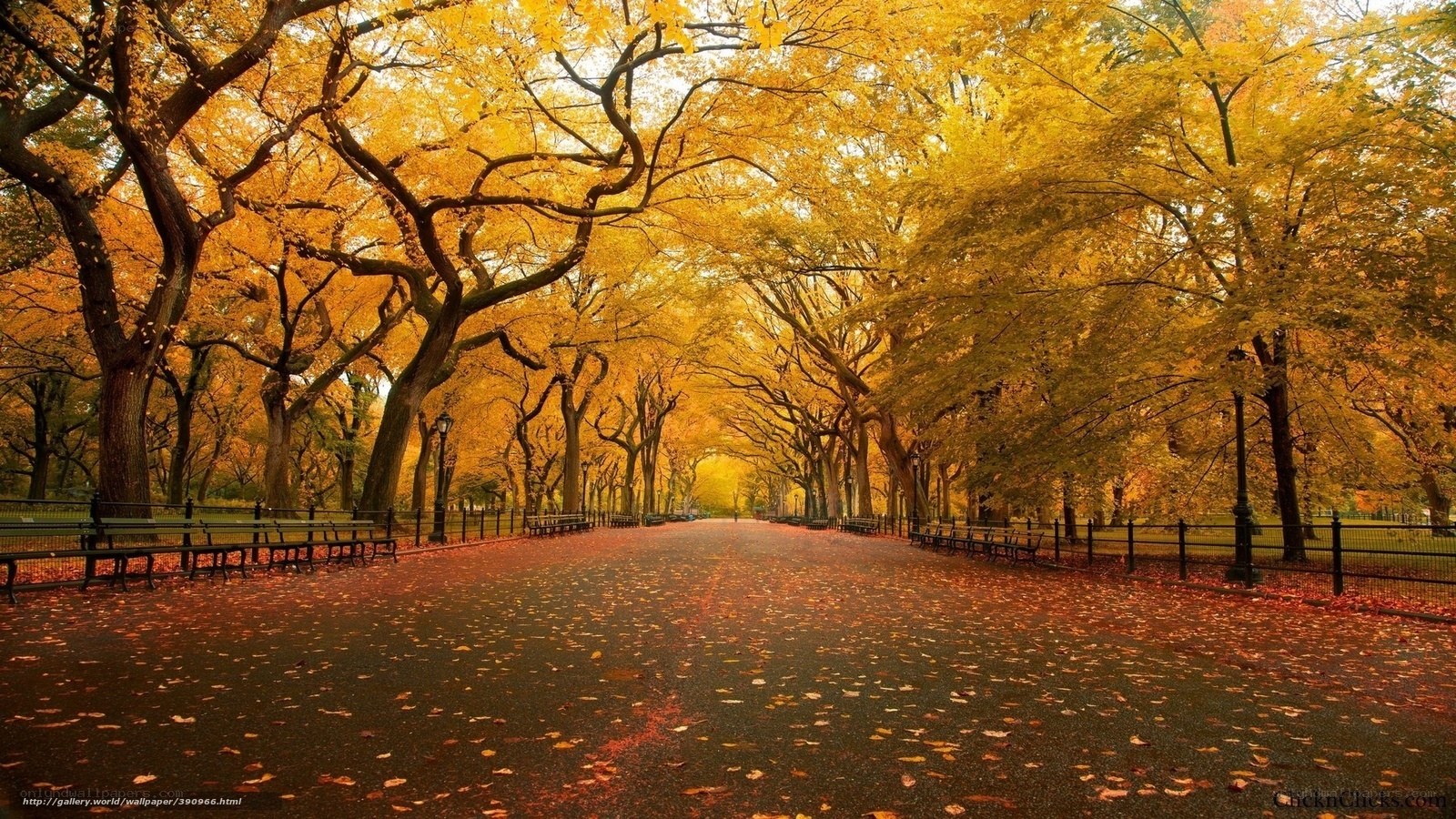 Autumn path in the park