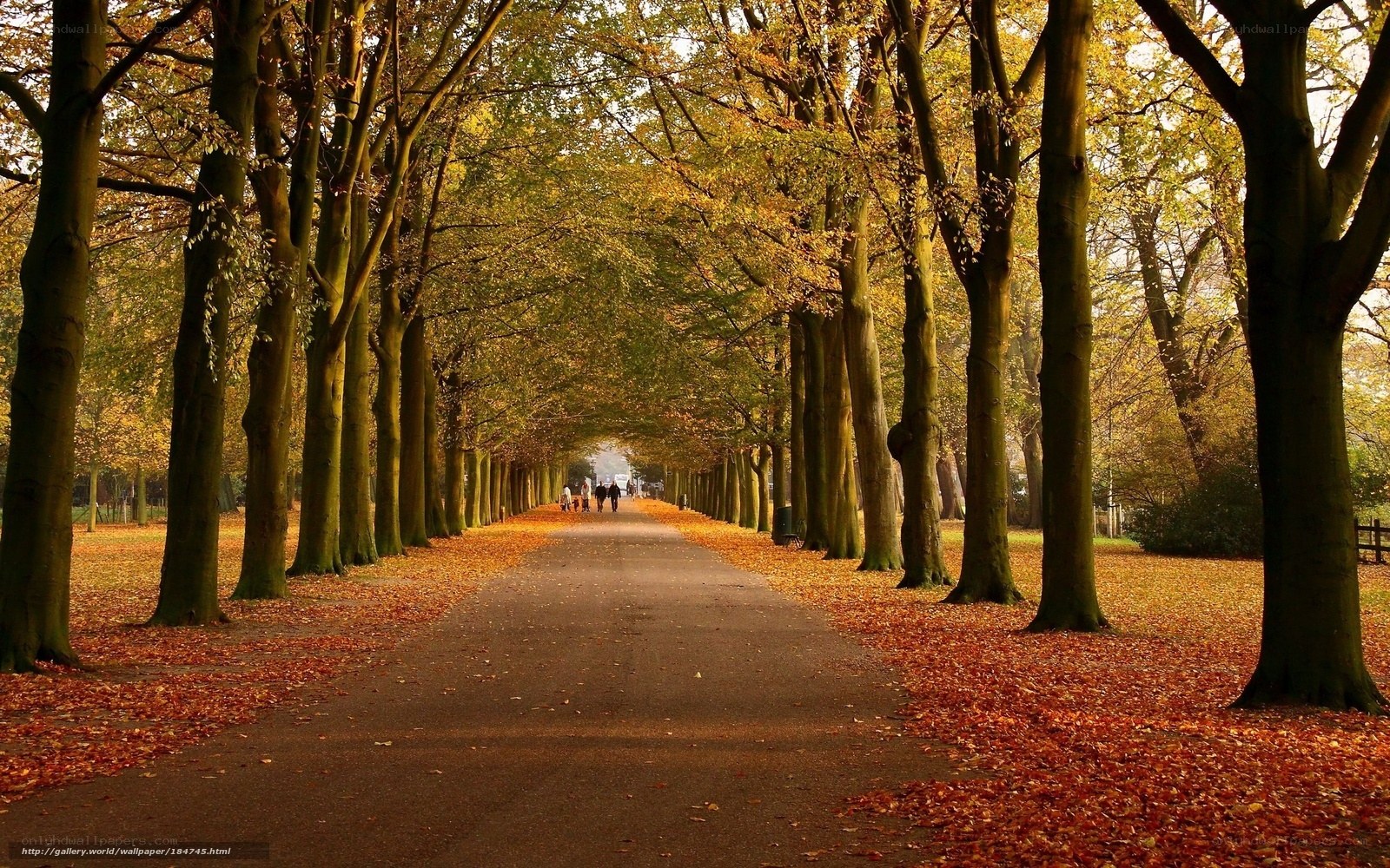 Autumn path in the park