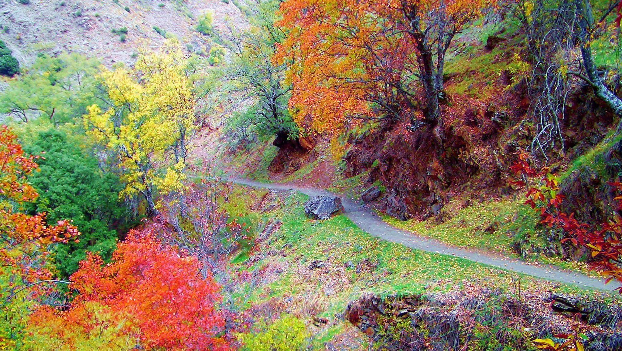 Autumn path in the valley