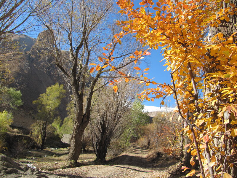 Autumn Path in Valley