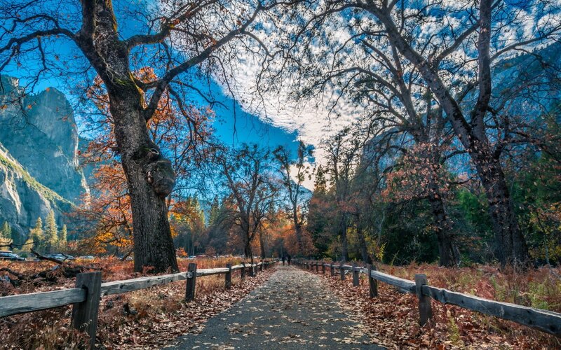 Autumn path in Yosemite