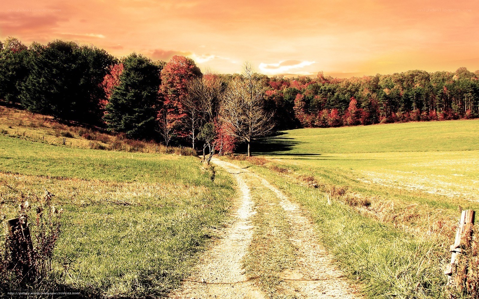 Autumn path through a green field
