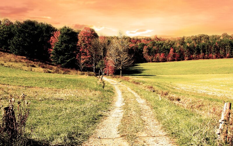 Autumn path through a green field