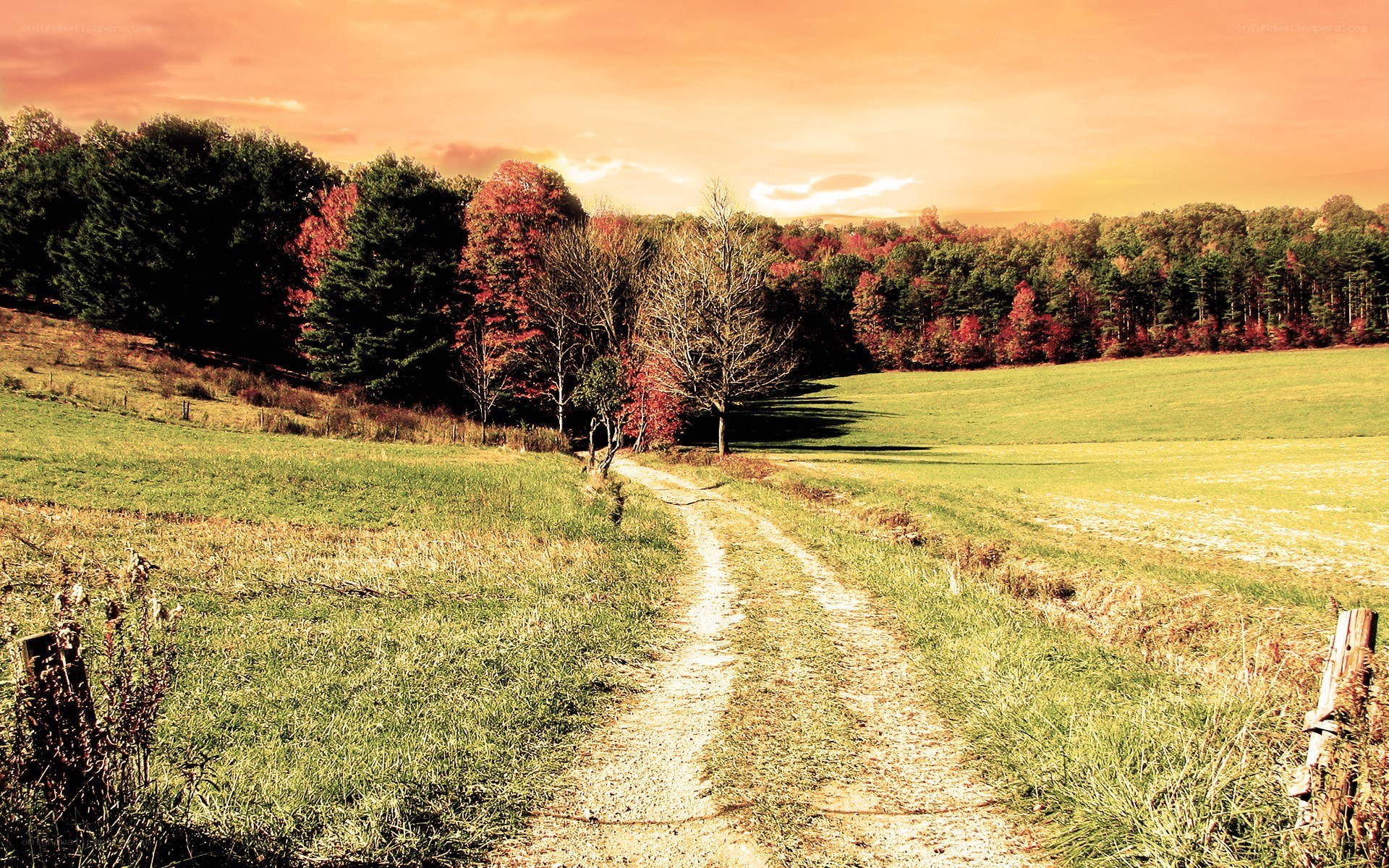 Autumn path through a green field