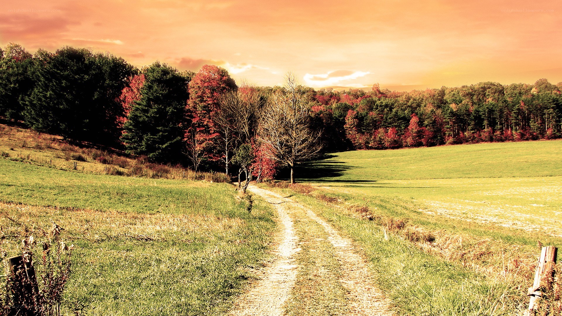 Autumn path through a green field