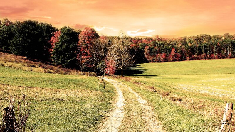 Autumn path through a green field