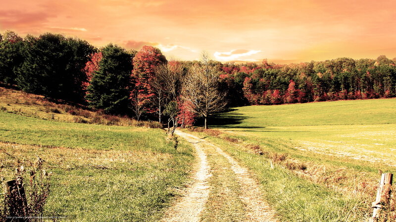 Autumn path through a green field
