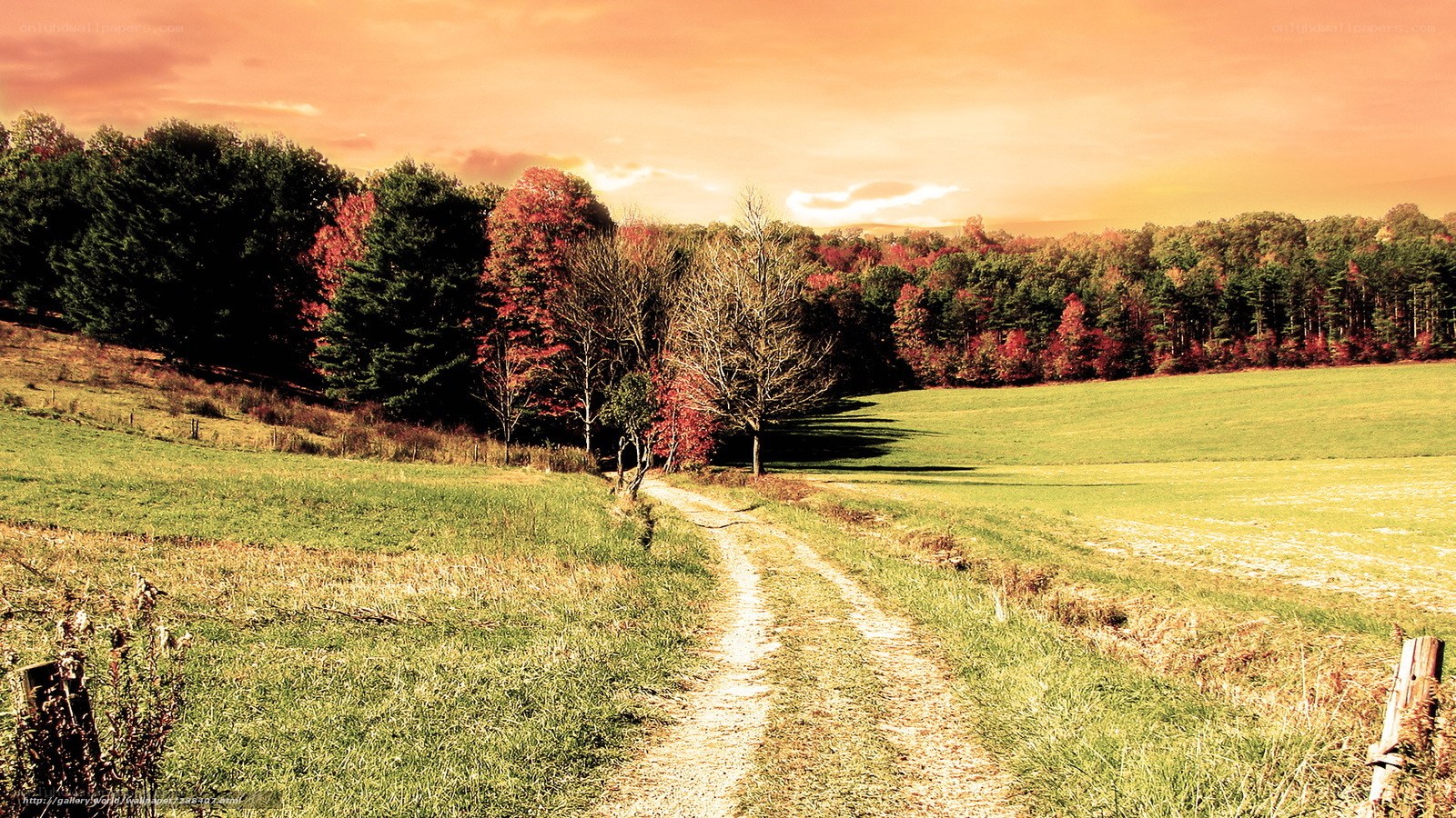 Autumn path through a green field