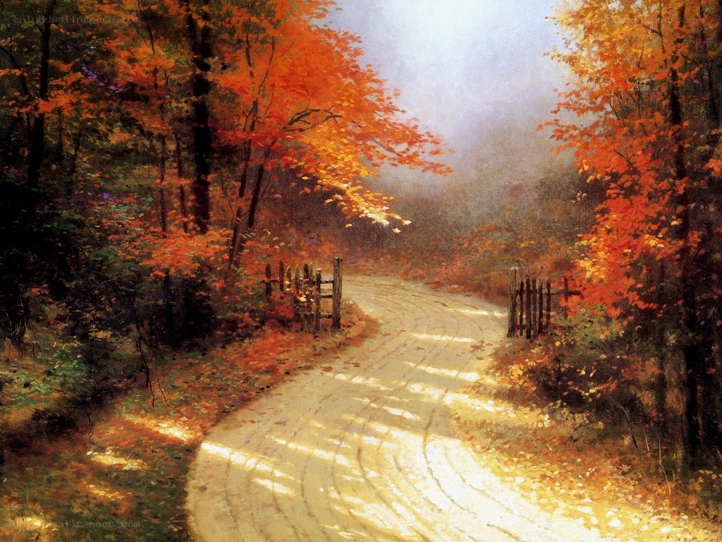 Autumn path through forest