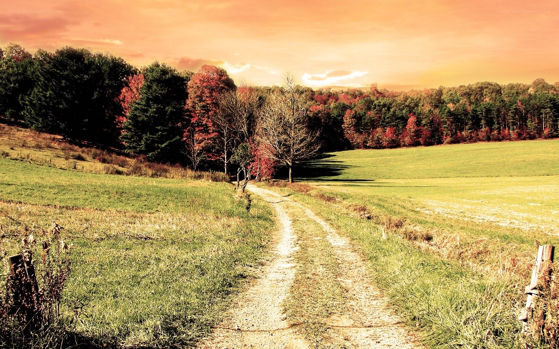 Autumn path through green fields