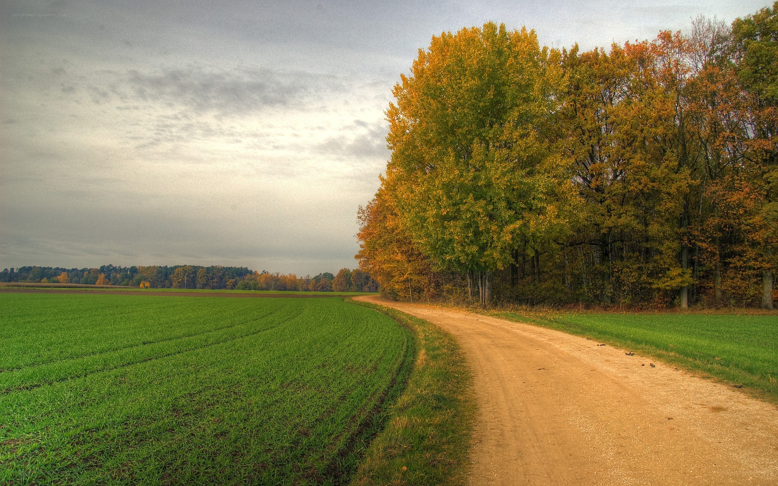 Autumn path through green fields