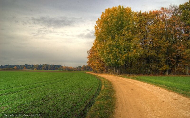 Autumn path through green fields