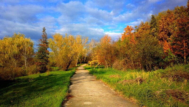 Autumn path through park