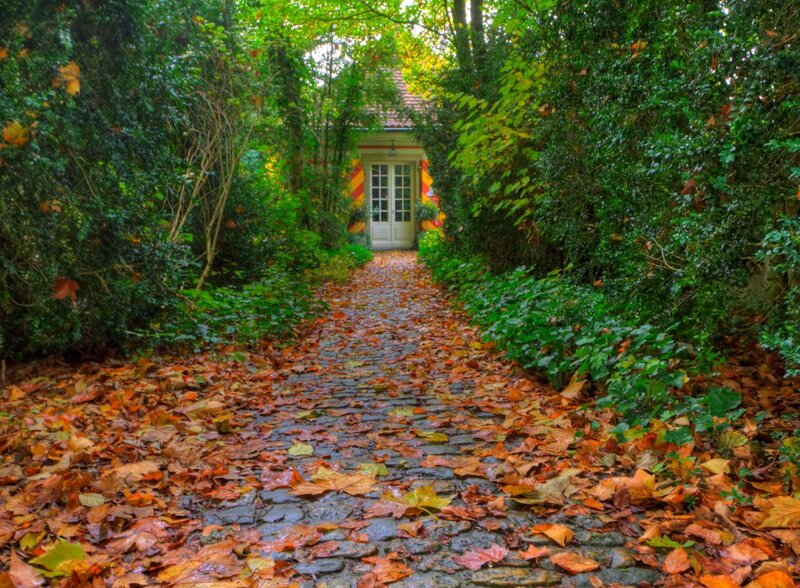 Autumn path to garden house