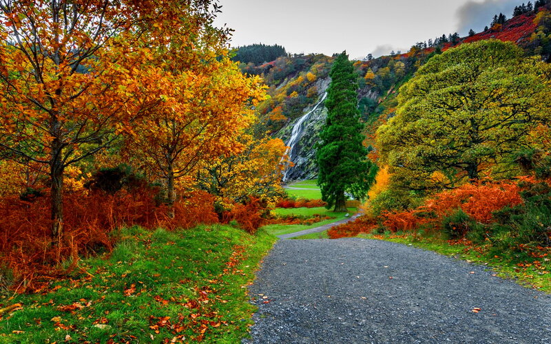 Autumn Path to Waterfall
