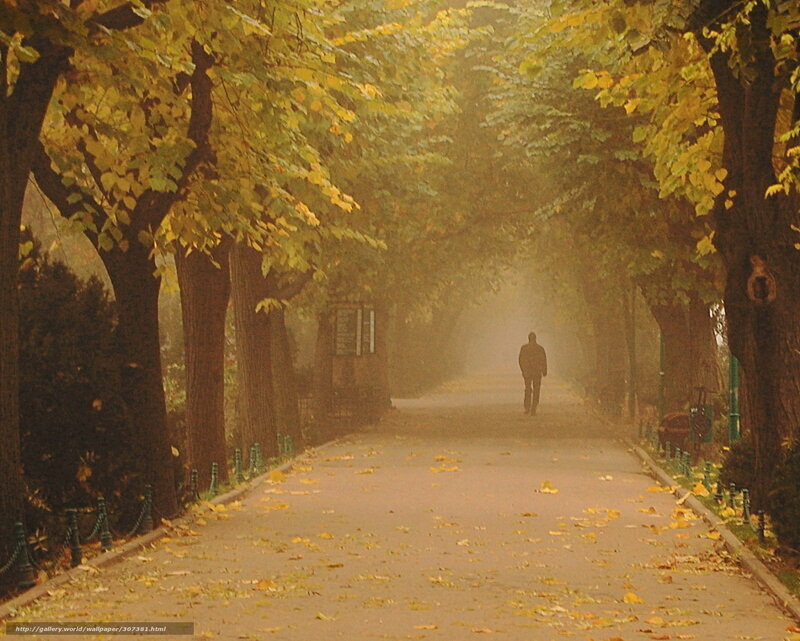 Autumn path with a lone walker