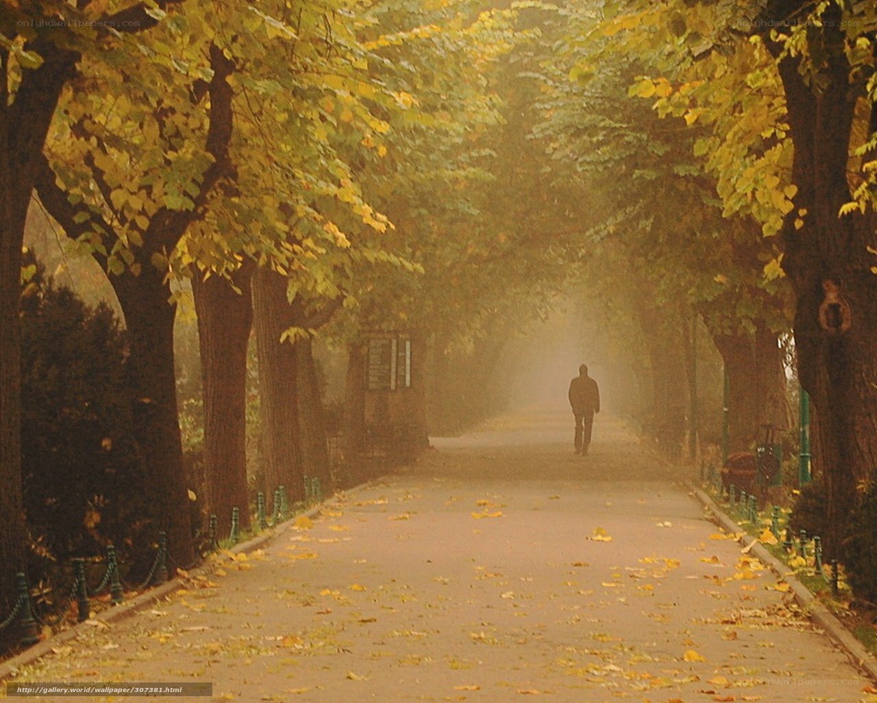 Autumn path with a lone walker