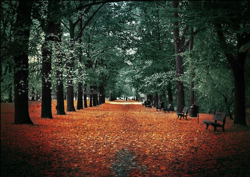 Autumn Path with Benches — Red