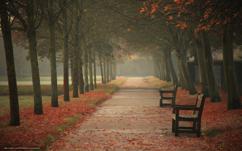 Autumn path with benches
