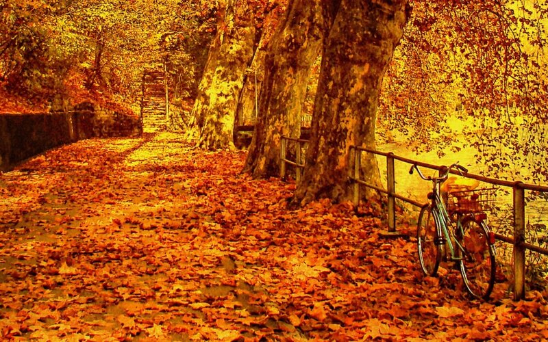 Autumn path with bicycle