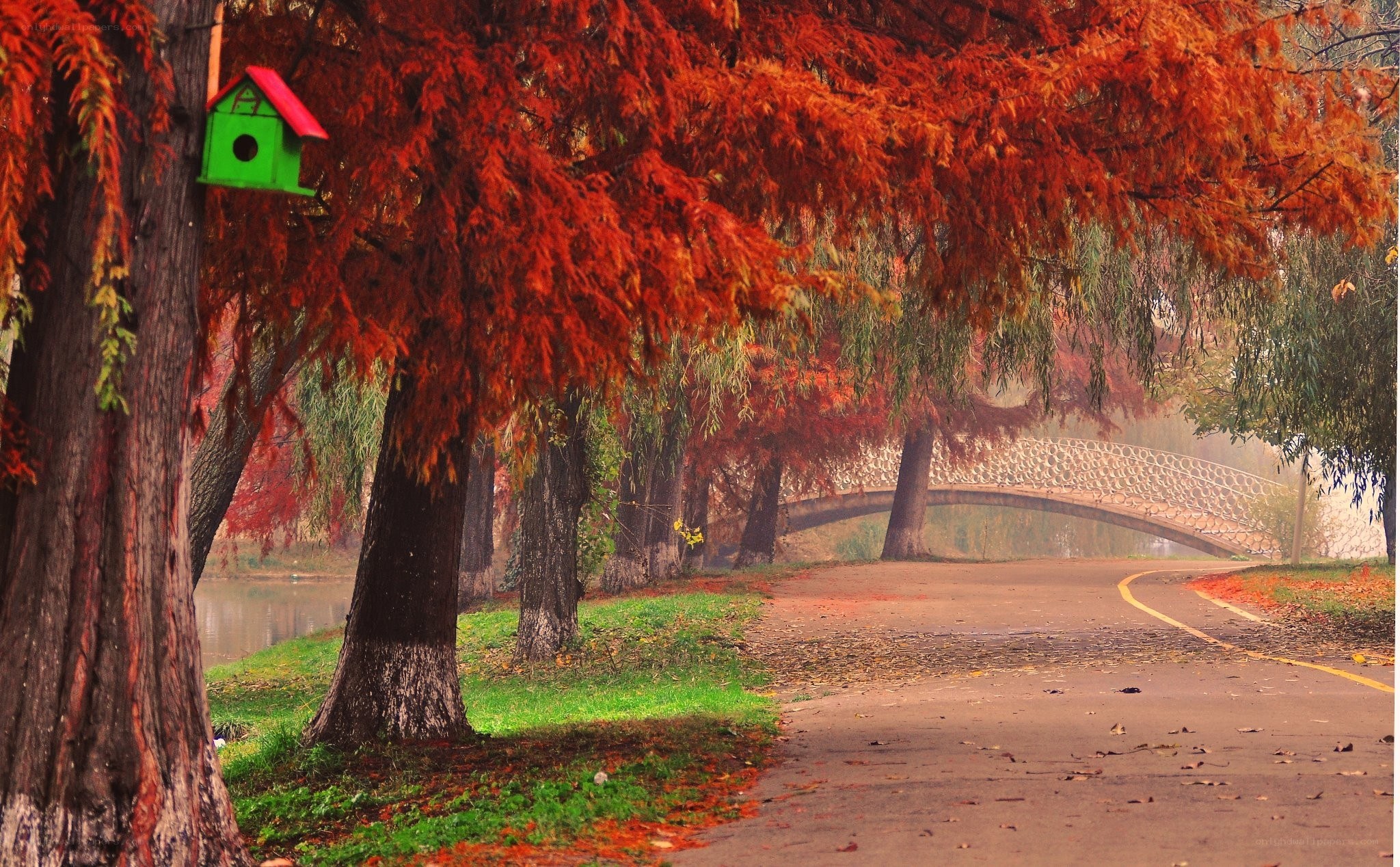 Autumn path with birdhouse