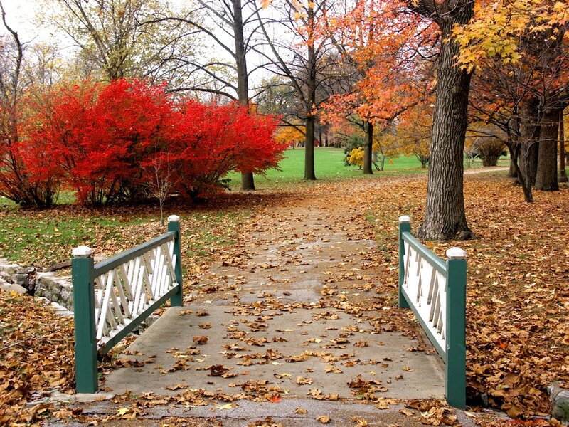 Autumn Path with Bridge — Red