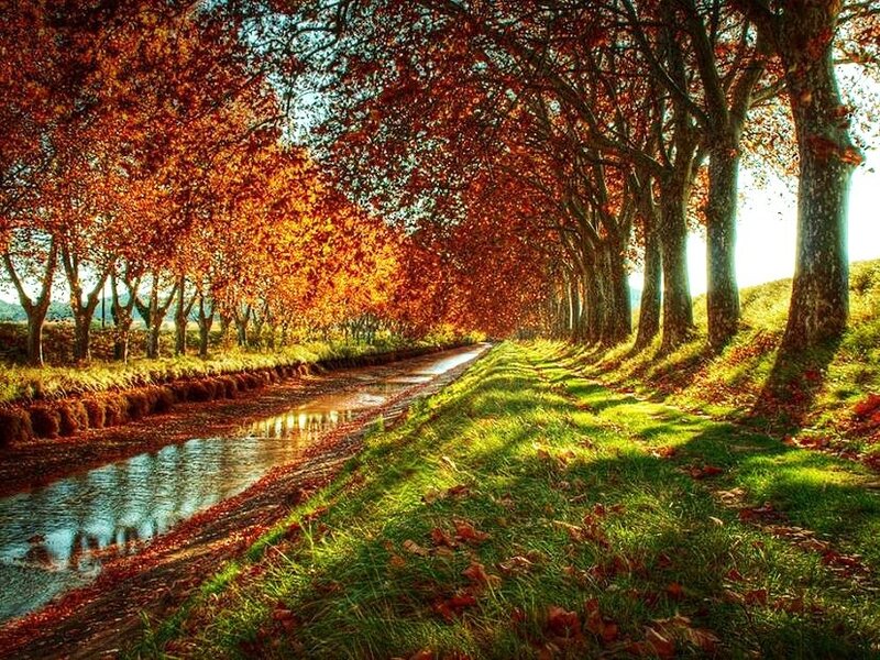 Autumn path with canal