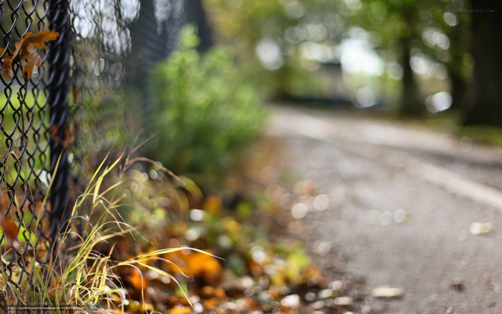 Autumn path with chain-link fence