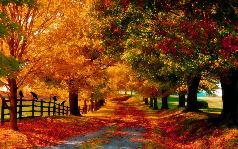 Autumn Path with Crows
