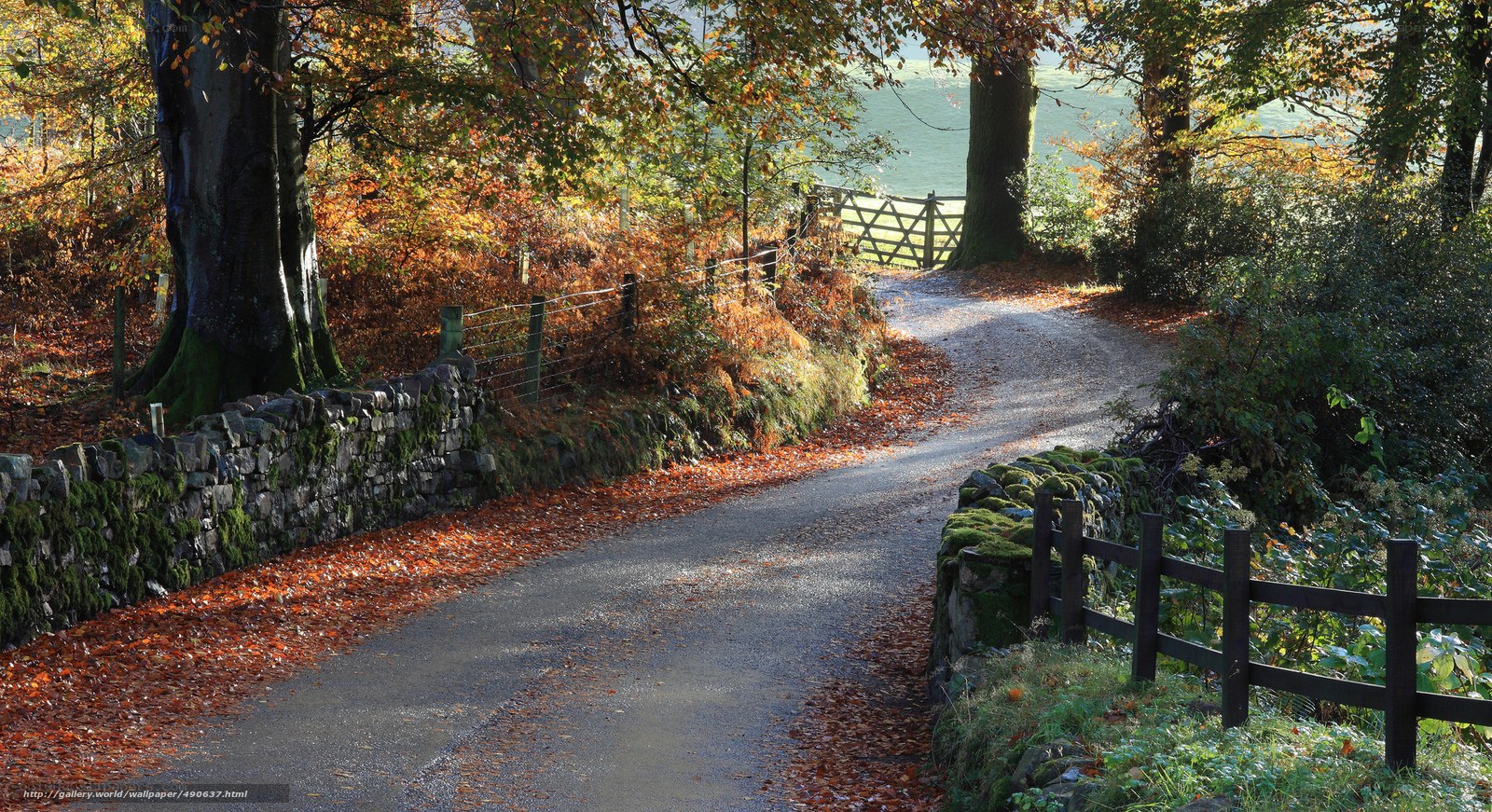 Autumn path with fallen leaves