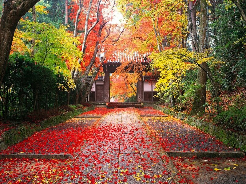 Autumn Path with Gate — Red, Serene