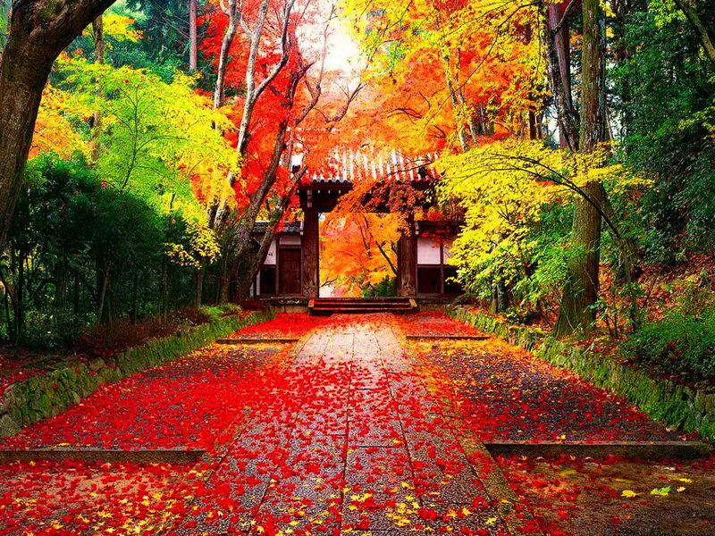 Autumn Path with Gate — Red