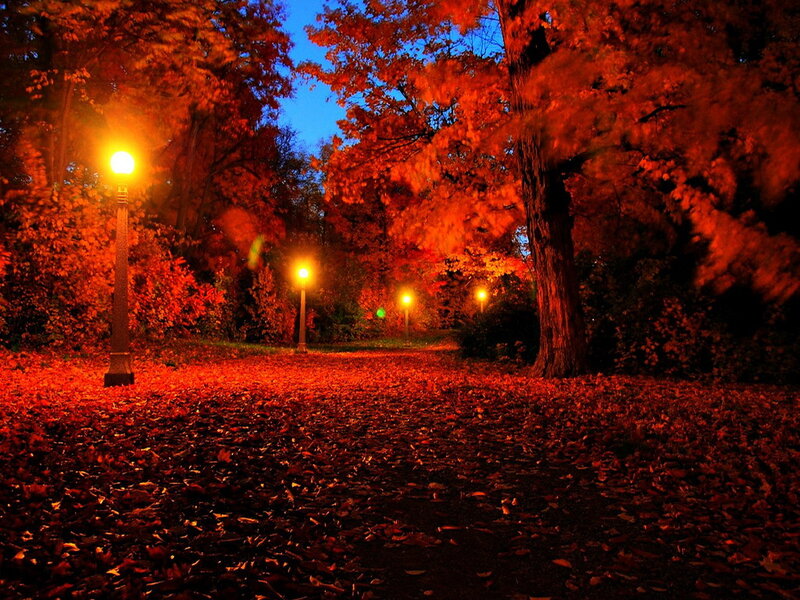 Autumn Path with Leaves — Red, Serene