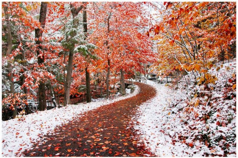 Autumn path with light snow