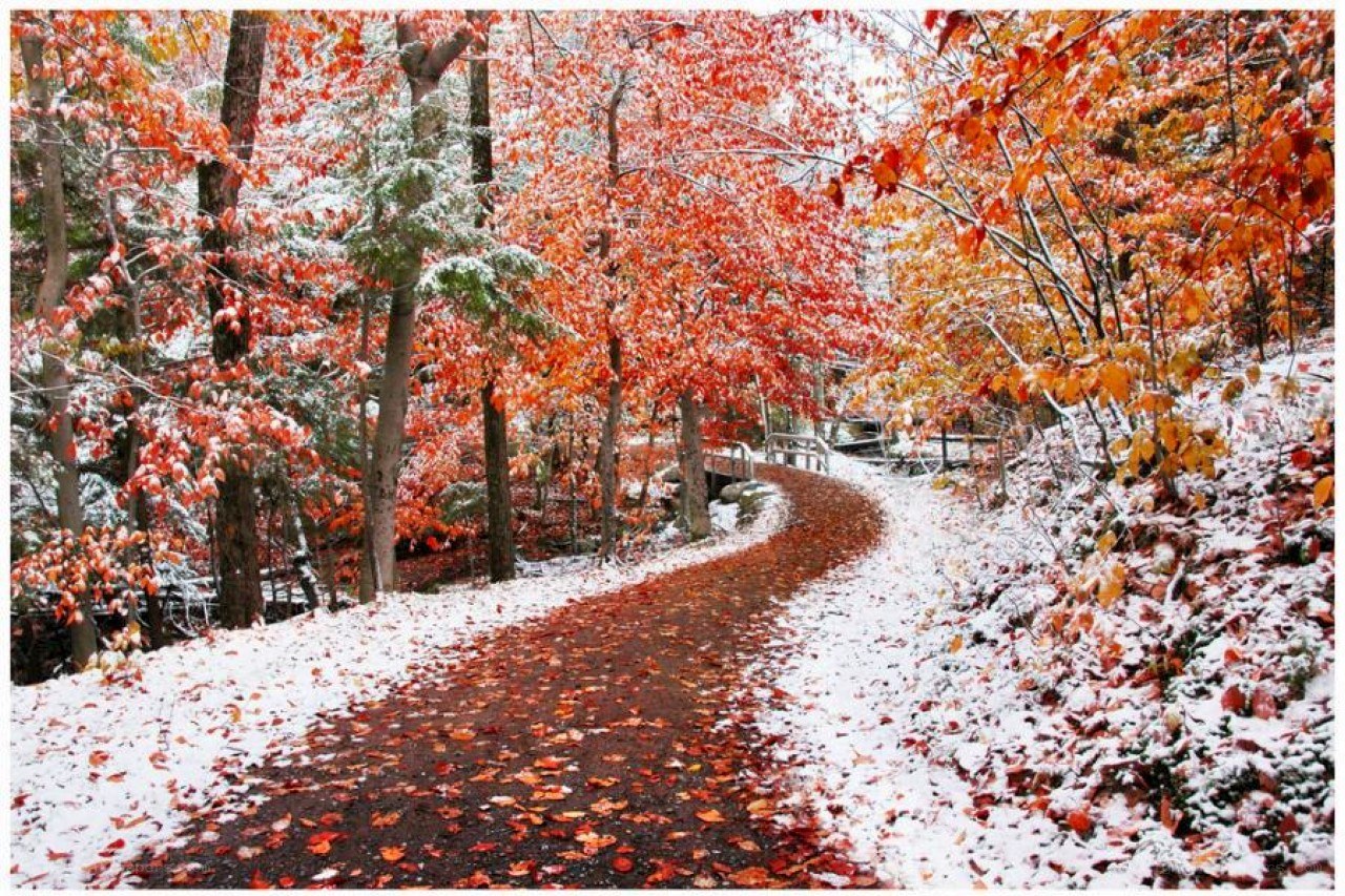 Autumn path with light snow