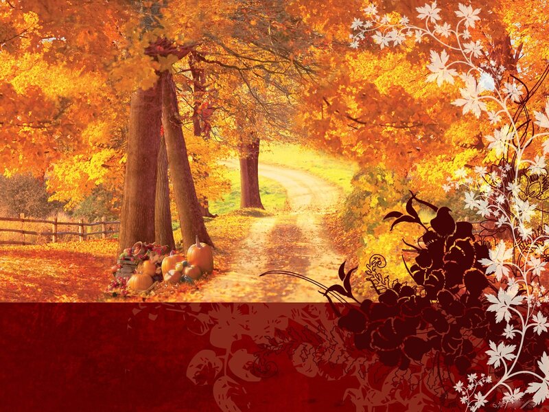Autumn path with pumpkins