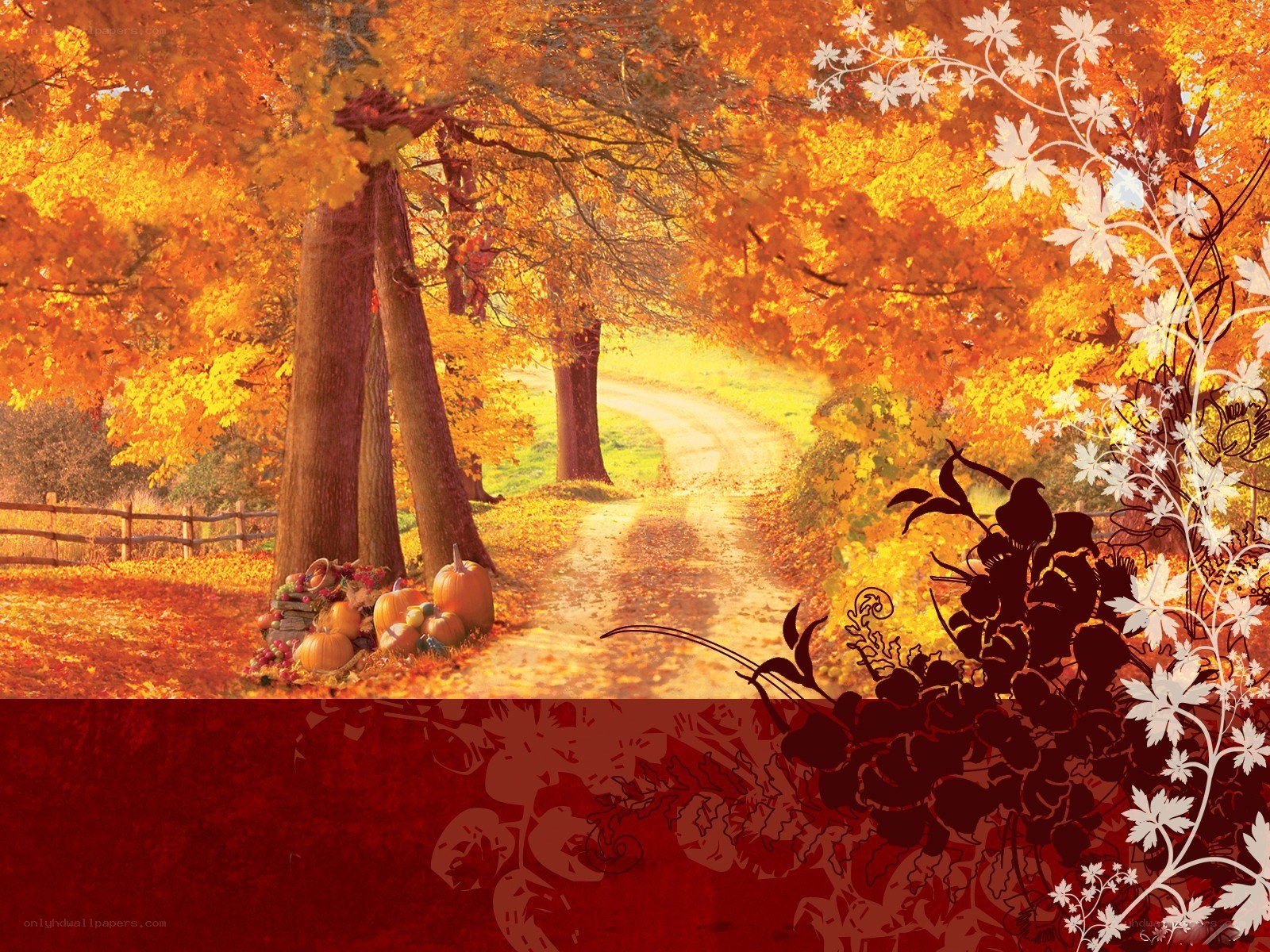 Autumn path with pumpkins