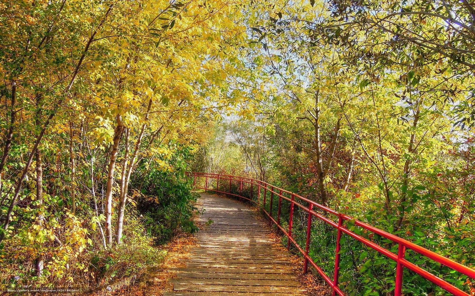 Autumn path with red railing