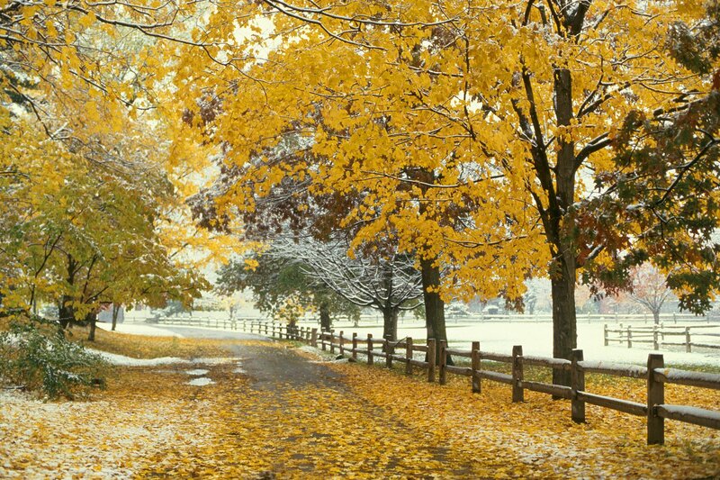 Autumn path with snow