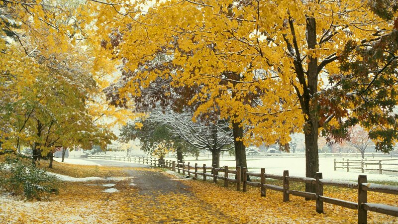 Autumn path with snow