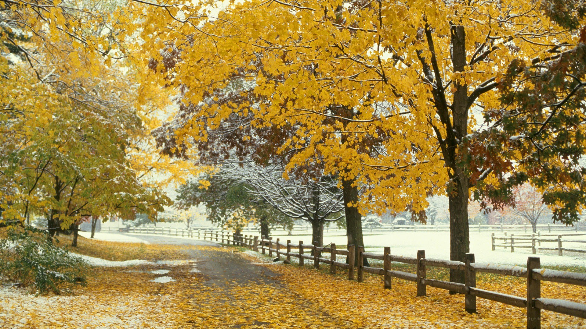 Autumn path with snow