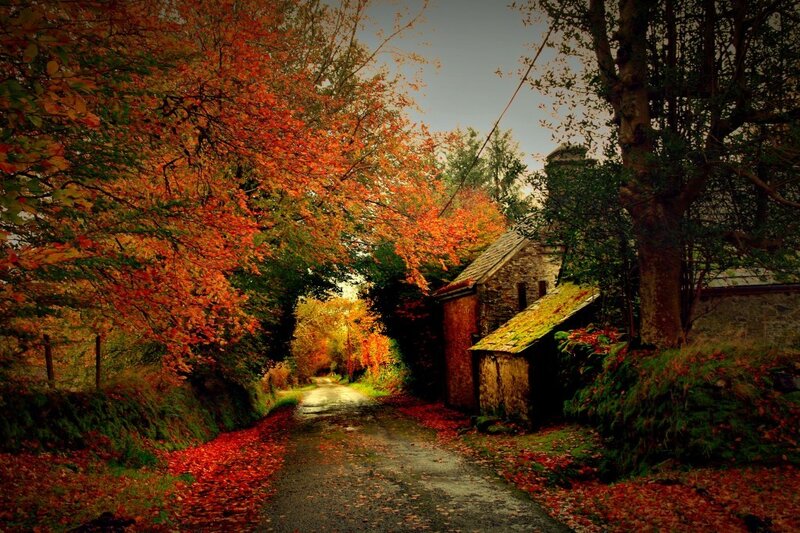 Autumn Path with Stone Building