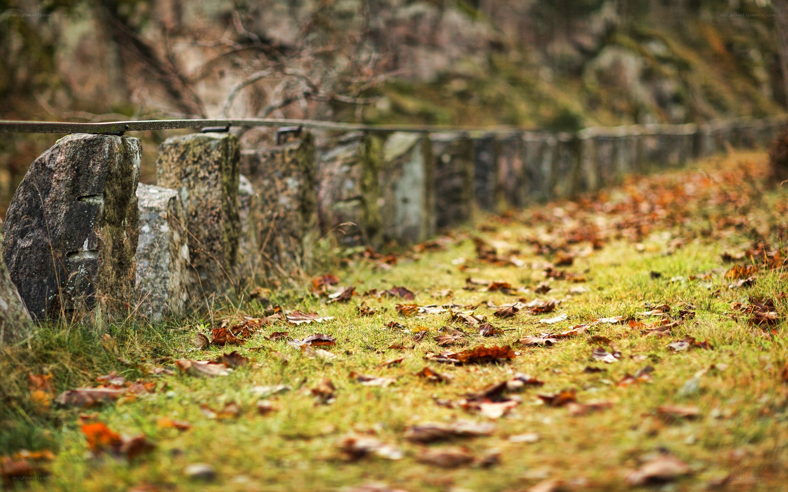Autumn path with stone fence