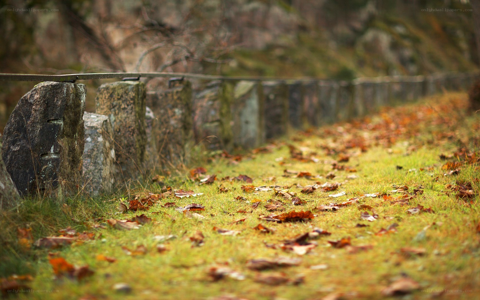 Autumn path with stone fence