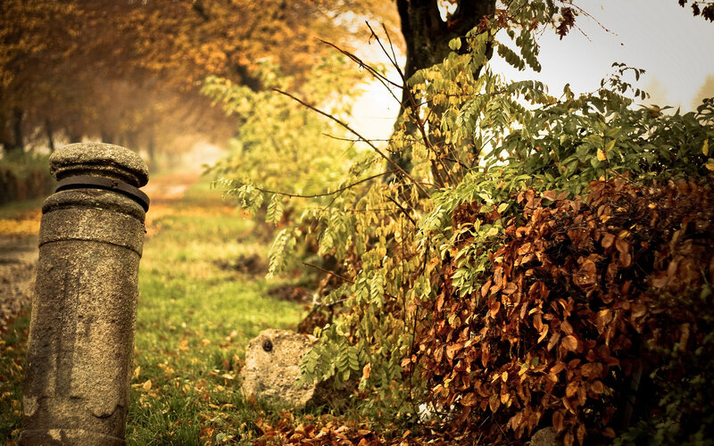 Autumn path with stone post