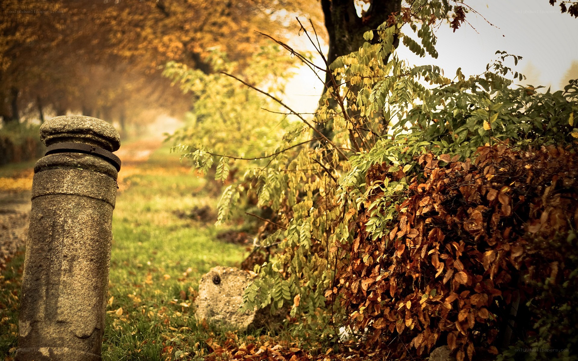 Autumn path with stone post