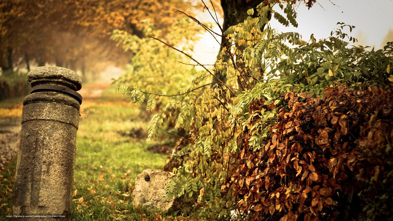 Autumn path with stone post