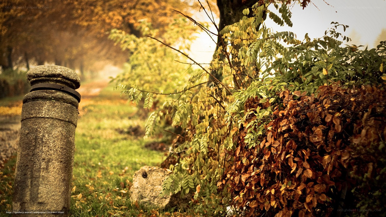 Autumn path with stone post