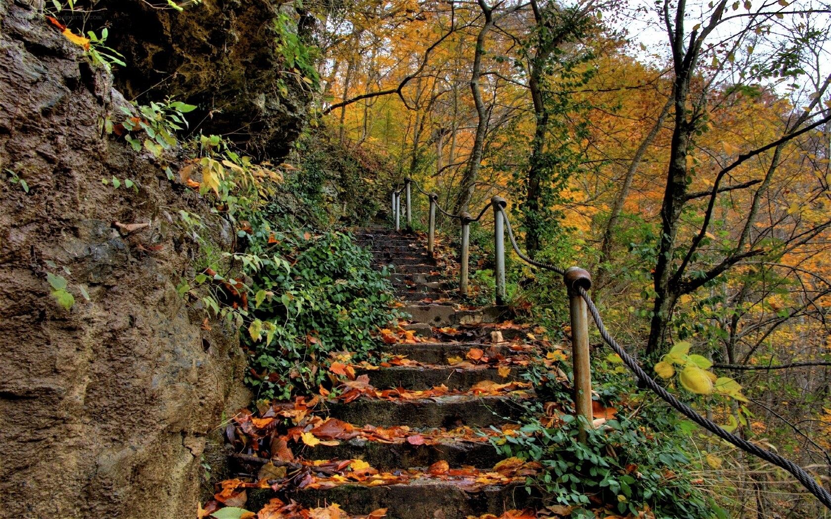 Autumn path with stone stairs